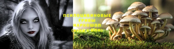 трава Липки