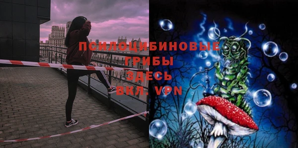 молекула духа Лиски