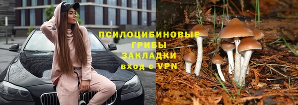 молекула духа Лиски