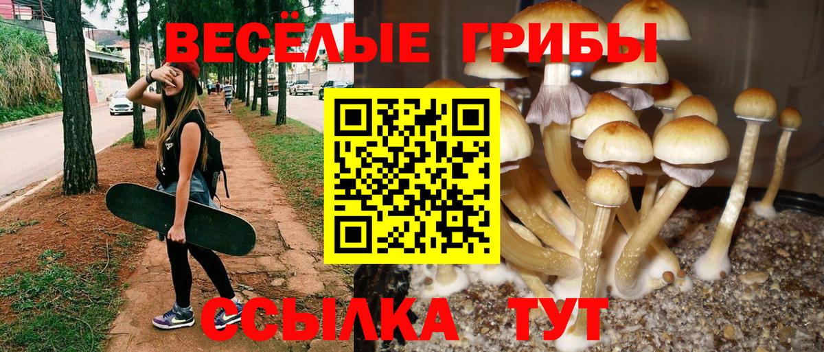 Троицк  Галлюциногенные грибы ЛСД  Вход с VPN 